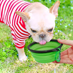 SOMMERLIEB Faltbarer Hunde-Wassernapf mit Karabiner