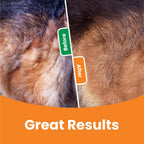 3-in-1 Fellpflege-Bürste für Hunde & Katzen – Unterwollbürste & Entfilzungstool