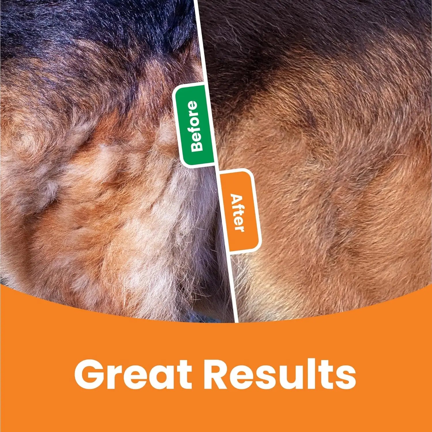 3-in-1 Fellpflege-Bürste für Hunde & Katzen – Unterwollbürste & Entfilzungstool